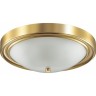 Настенно-потолочный светильник LUMION VINTAGE 5259/3C