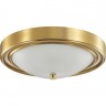 Настенно-потолочный светильник LUMION VINTAGE NINA 5259/2C