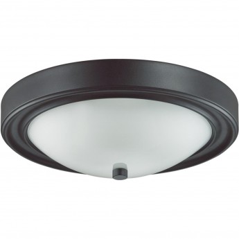 Настенно-потолочный светильник LUMION VINTAGE NINA 5260/2C