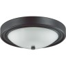Настенно-потолочный светильник LUMION VINTAGE NINA 5260/2C