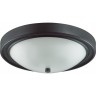 Настенно-потолочный светильник LUMION VINTAGE NINA 5260/3C