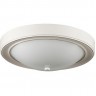 Настенно-потолочный светильник LUMION VINTAGE NINA 5279/2C