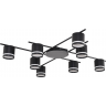 Потолочная люстра LUMION BERTY 8362/8C